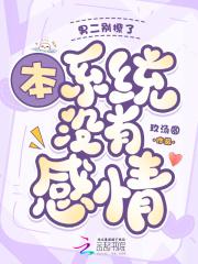 男二他很忙穿书全文阅读