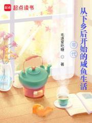 年代从下乡后开始的咸鱼生活最新章