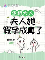 丞相夫人要转正免费阅读