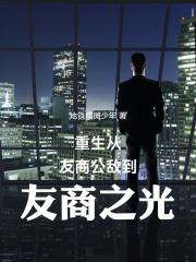 重生从友商公敌到友商之光盗版