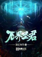 万界圣主 万界圣主