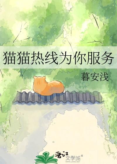 猫猫热线为你服务结局 猫猫热线为你服务结局