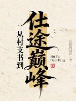 从村支书到仕途巅峰 第95章