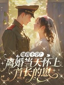 第一章离婚第二章怀孕