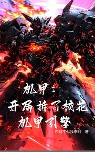 机甲开局主角在一个垃圾星球