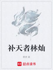 补天者林灿全文免费阅读最新章节