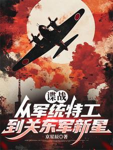 60部军统谍战剧