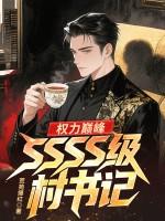 权力巅峰ssss级村书记