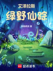 tbc绿野仙踪怎么打