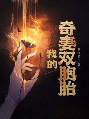 我的老婆昰双胞胎