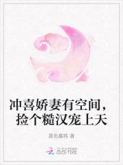 冲喜娇妻陆少霸道宠妻