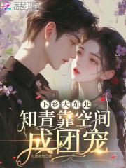 重生下乡东北知青