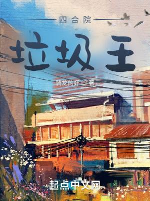 四合院坑人