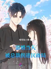 退婚当天被总裁拐进民政局