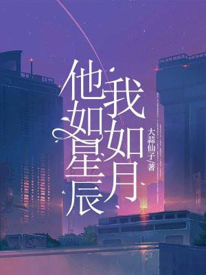 他如星辰我如月免费阅读