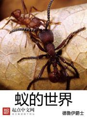 蚁的世界TXT链接