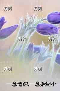 一念情深番外