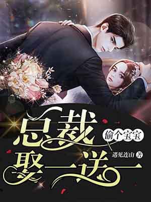 偷个宝宝总裁娶一送一 一念