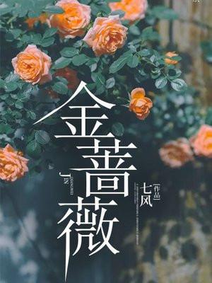 金蔷薇图片