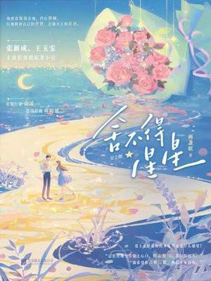 舍不得星星原著