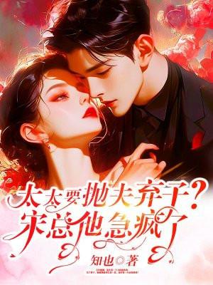 宋太太复婚吧免费阅读