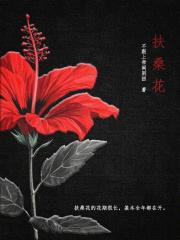 扶桑花耐寒多少度