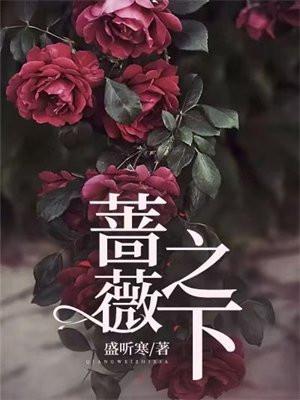 蔷薇之恋 百科