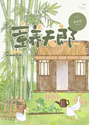 裴家夫郎晋江文学城 裴家夫郎晋江文学城