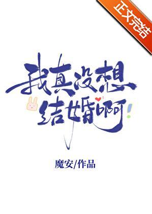 我真没想结婚啊司念免费阅读