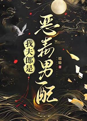 我夫郎是恶毒男配TXT全本免费笔趣阁