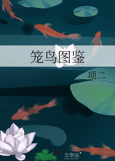 笼鸟图鉴 笼鸟图鉴